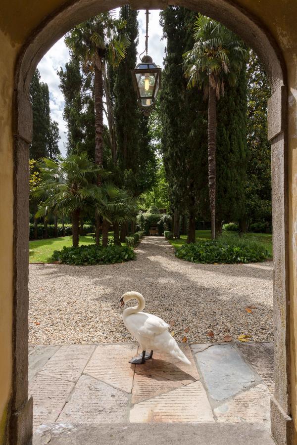 Coselli 's Collection. Luxury Villas Rental Capannori Extérieur photo